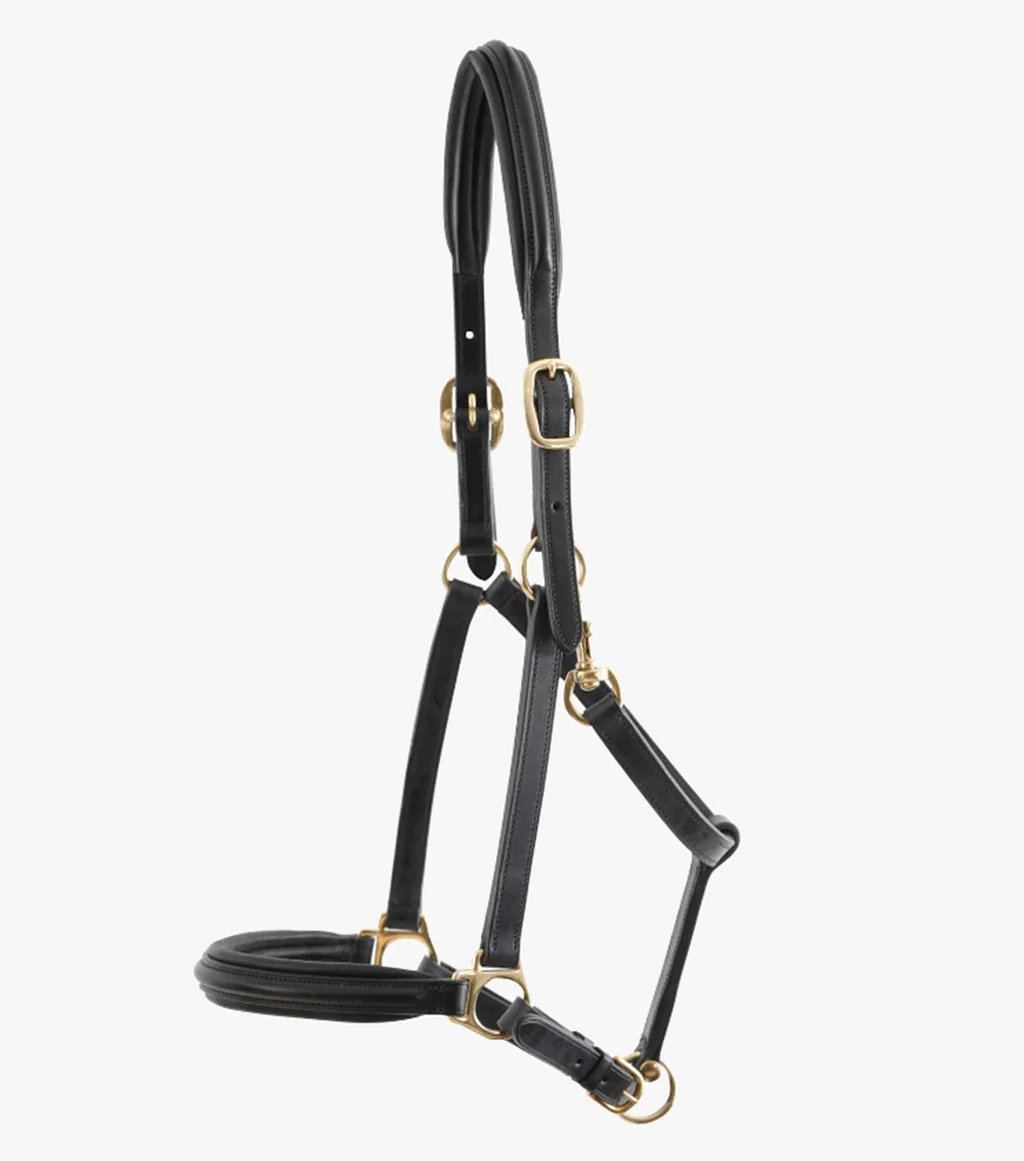 Rego Padded Leather Head Collar