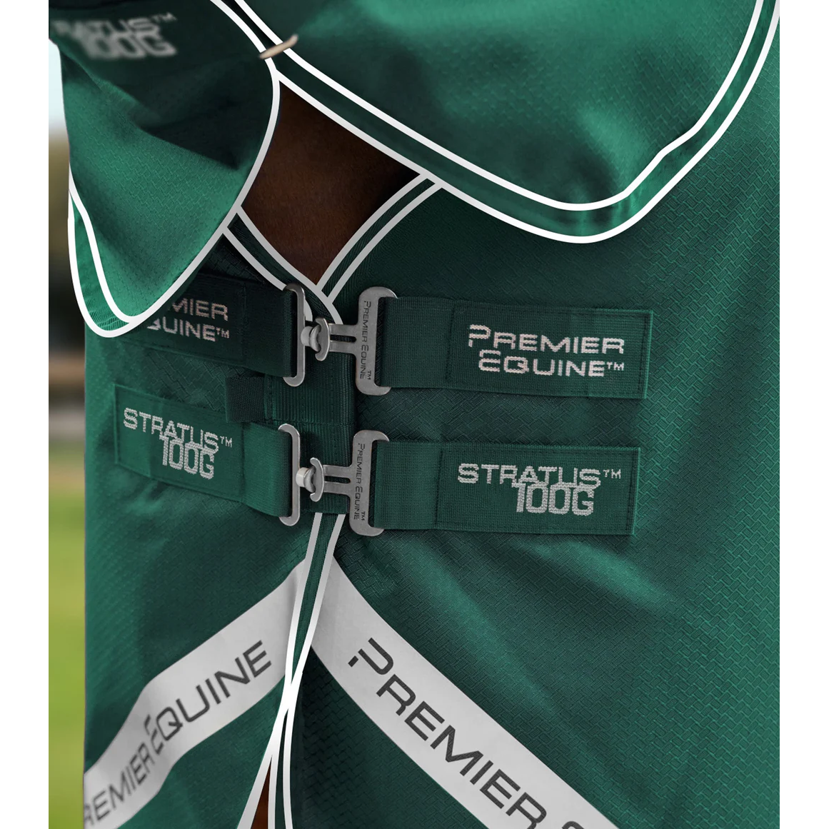 Stratus 600D Series 100g Turnout Rug with Classic Neck Cover