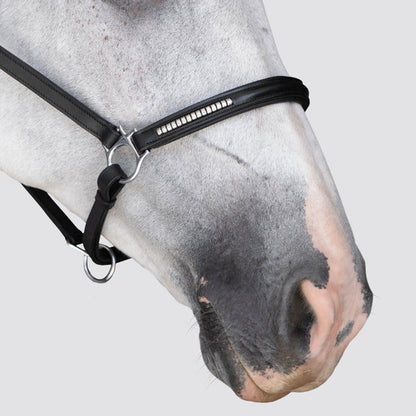 Perseus Leather Halter
