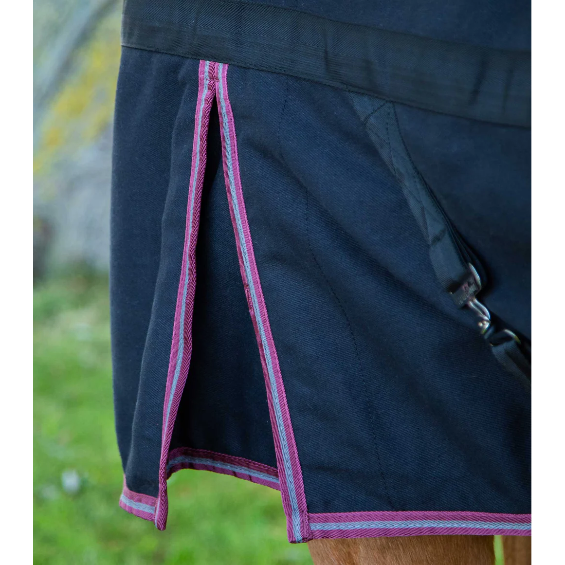 Barrasso Stable Sheet