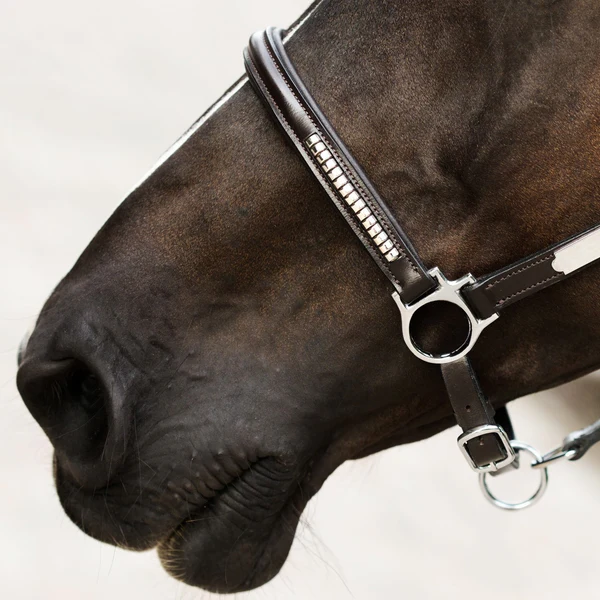 Perseus Leather Halter