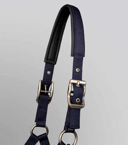 Plain Padded Head Collar with Lead Rope