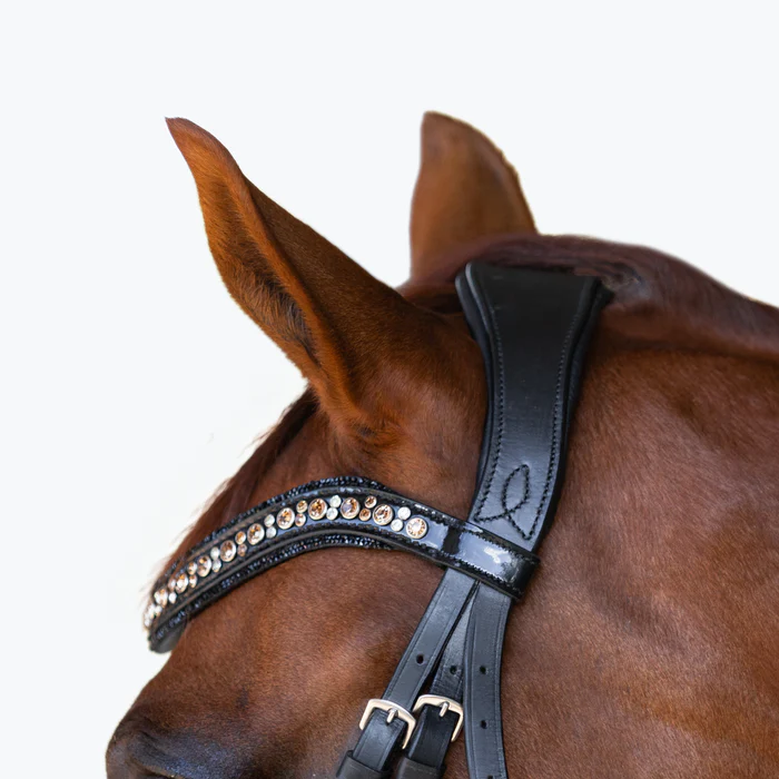 Ariana Bridle (Cavesson) (No reins)