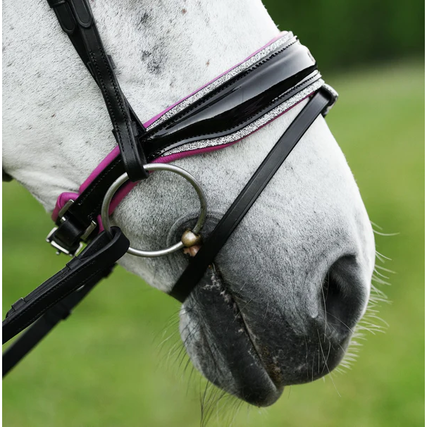 Perla Bridle (Hanoverian) (No reins)