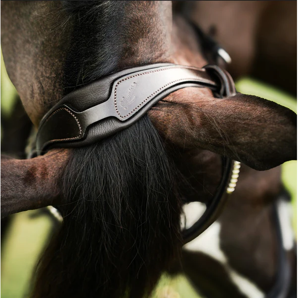Perseus Bridle (Convertible) (No reins)
