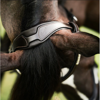 Perseus Bridle (Convertible) (No reins)