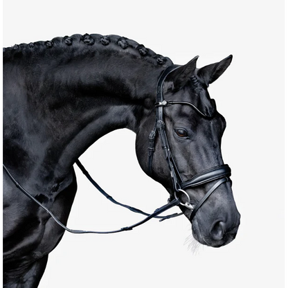 Penny Hanoverian Bridle (No reins)