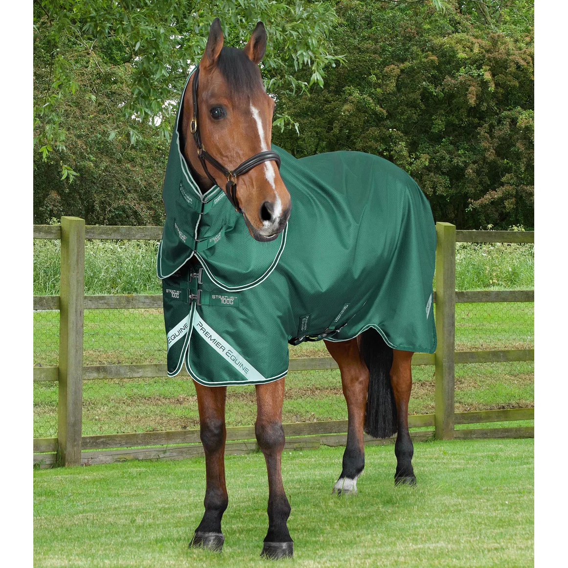 Stratus 600D Series 100g Turnout Rug with Classic Neck Cover