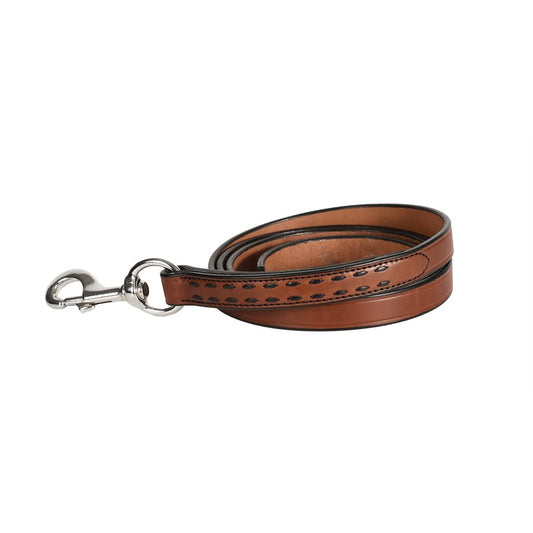 Buck Stitch Leather Lead w/ snap
