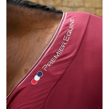 Airtech Horse Cooler Rug