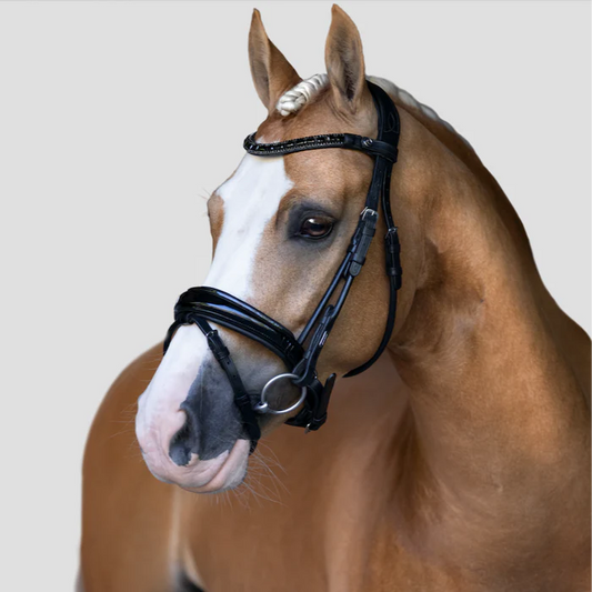 Audrey Rolled Leather Bridle (Hanoverian) (No reins)