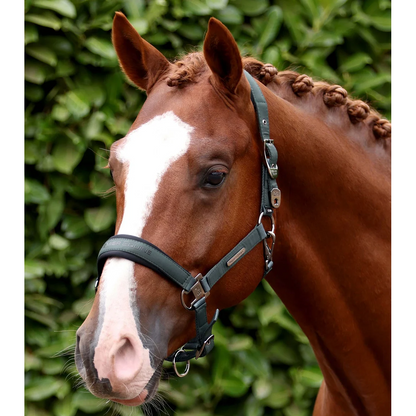 Duco Padded Head Collar with Lead Rope