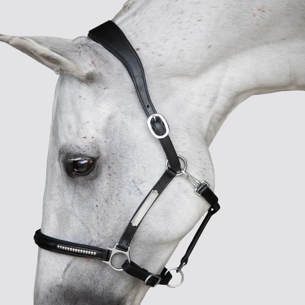 Perseus Leather Halter