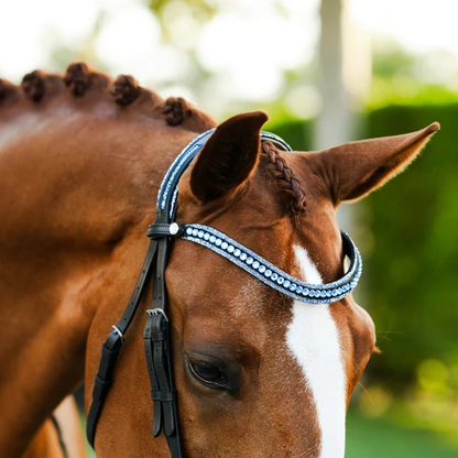 Paris Bridle (Cavesson) (No reins)