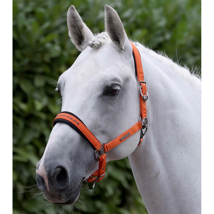 Duco Padded Head Collar with Lead Rope