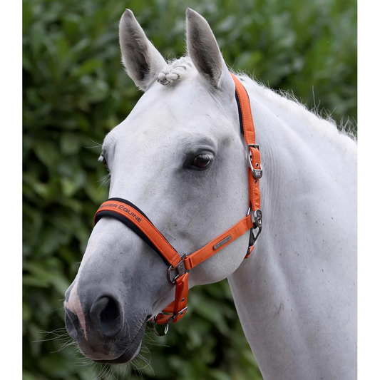 Duco Padded Head Collar with Lead Rope