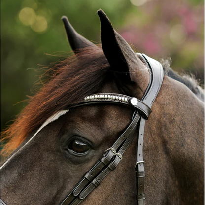 Perseus Bridle (Convertible) (No reins)