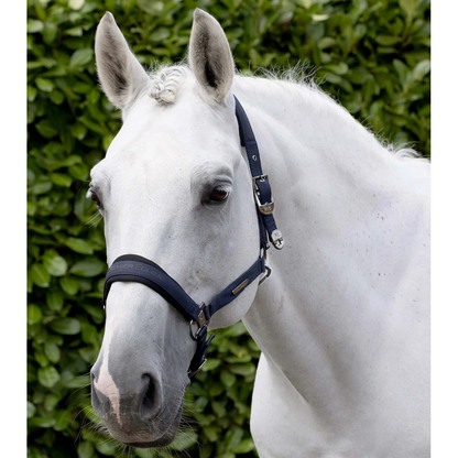 Duco Padded Head Collar with Lead Rope