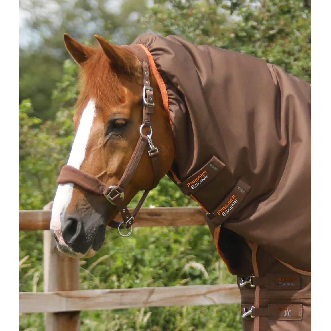 Titan 300g Turnout Rug with Snug-Fit Neck Cover
