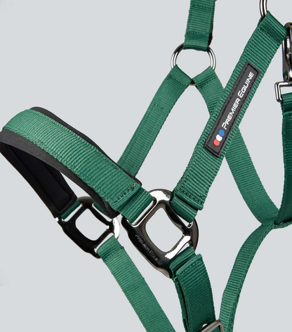 Corda Padded Head Collar with Lead Rope