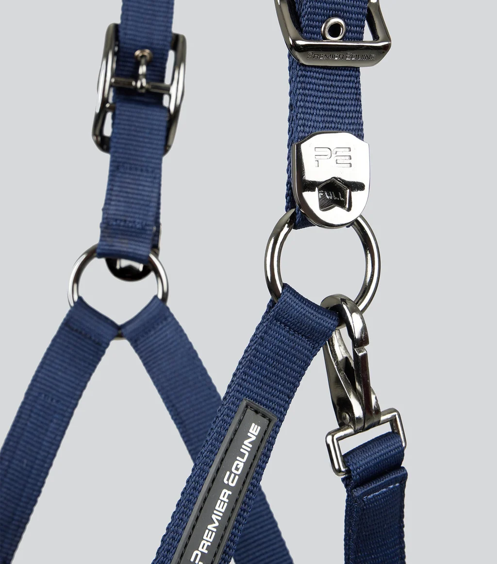 Corda Padded Head Collar with Lead Rope