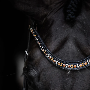 Ariana Bridle (Cavesson) (No reins)
