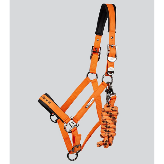 Duco Padded Head Collar with Lead Rope