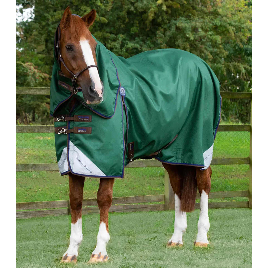 Akoni 0g Turnout Rug with Classic Neck Cover
