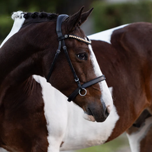 Load image into Gallery viewer, Seline Bitless Bridle (No reins)