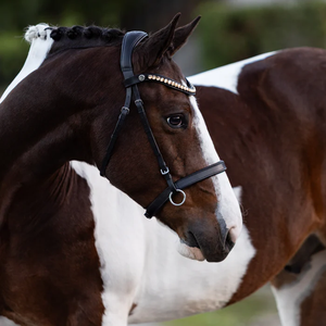 Seline Bitless Bridle (No reins)