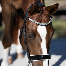 Load image into Gallery viewer, Adeline Italian Leather Bridle (Cavesson) (No reins)