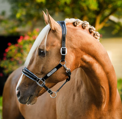 Paris Leather Halter