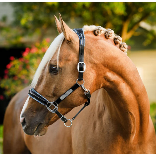 Paris Leather Halter