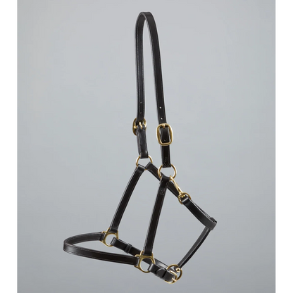 Pasco Plain Leather Head Collar