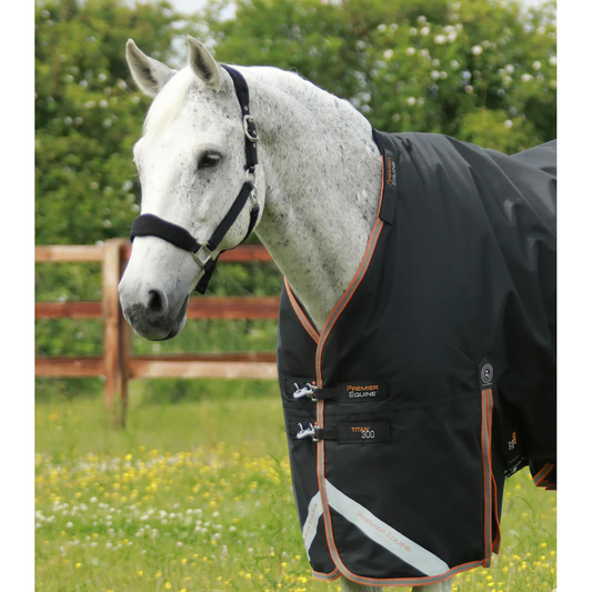 Titan 300g Turnout Rug with Snug-Fit Neck Cover
