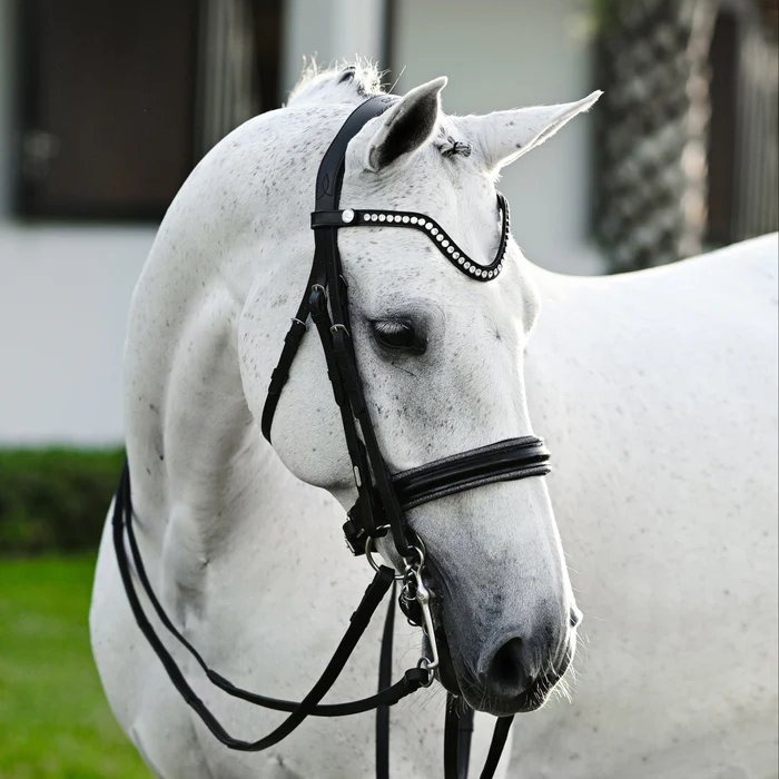 Saphira Bridle (Double) (No reins)