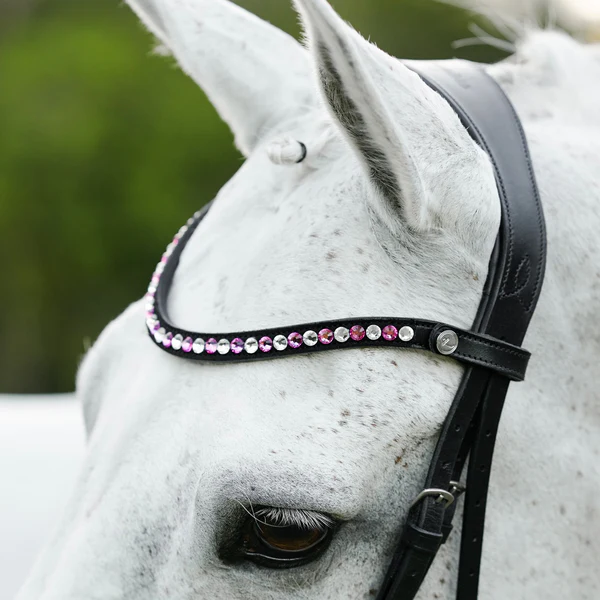 Perla Bridle (Hanoverian) (No reins)