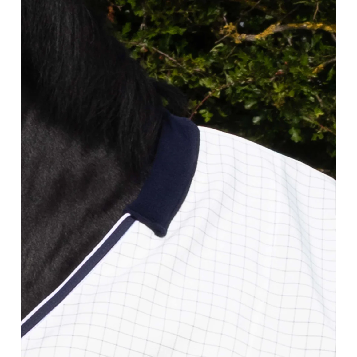 Cotone Original Stable Sheet