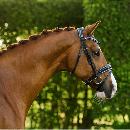 Paris Bridle (Hanoverian) (No reins)