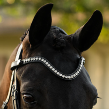 Load image into Gallery viewer, Saphira Bridle (Cavesson) (No reins)