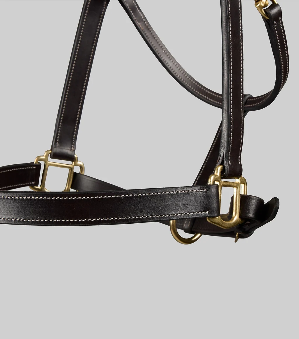 Traditional Leather Headcollar