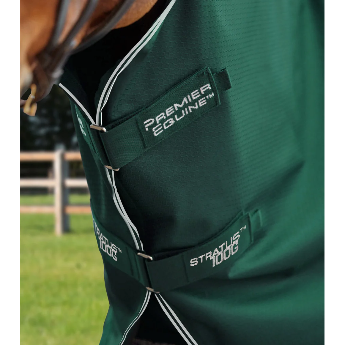 Stratus 600D Series 100g Turnout Rug with Classic Neck Cover