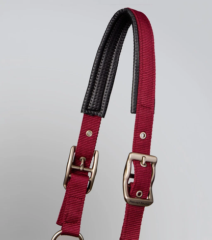 Plain Padded Head Collar with Lead Rope