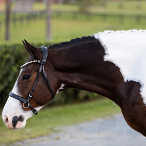 Seline Bitless Bridle (No reins)