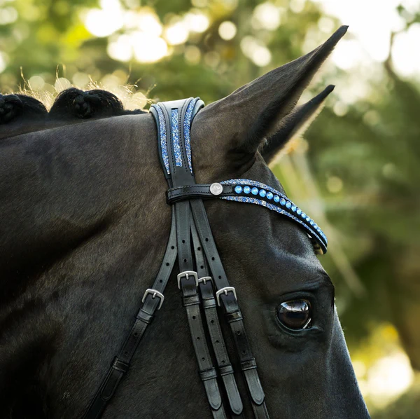 Paris Bridle (Double) (No reins)