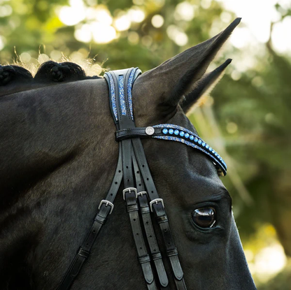 Paris Bridle (Double) (No reins)