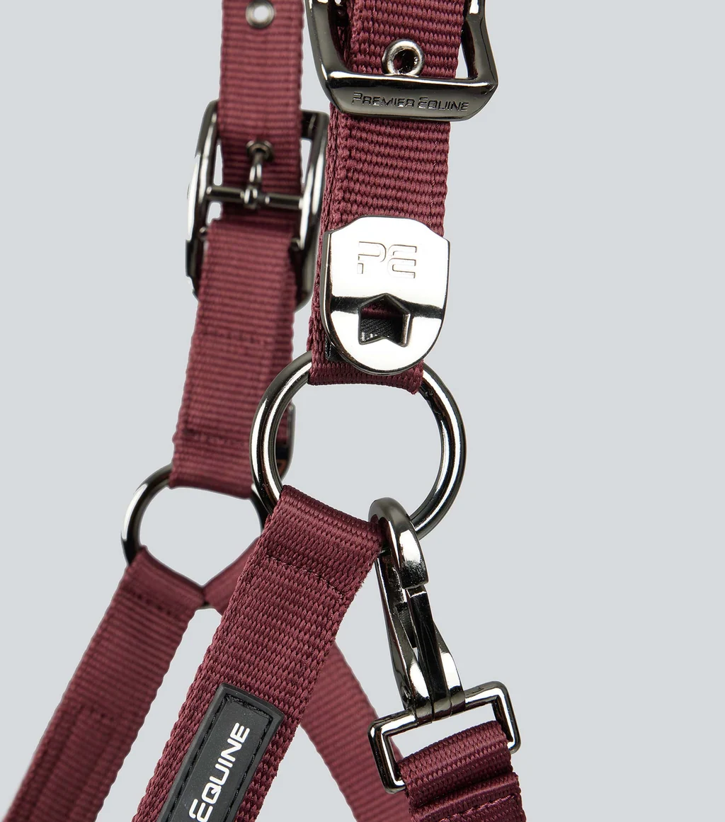 Corda Padded Head Collar with Lead Rope