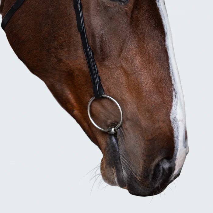 Sansa Nosebandless Bridle (No reins)