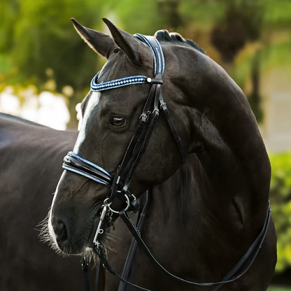 Paris Bridle (Double) (No reins)