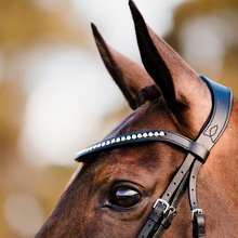 Load image into Gallery viewer, Swarovski Crystal Browband (Black Leather)